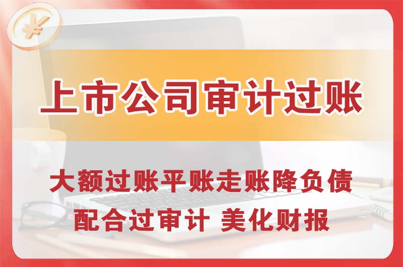 临湘上市公司审计过账